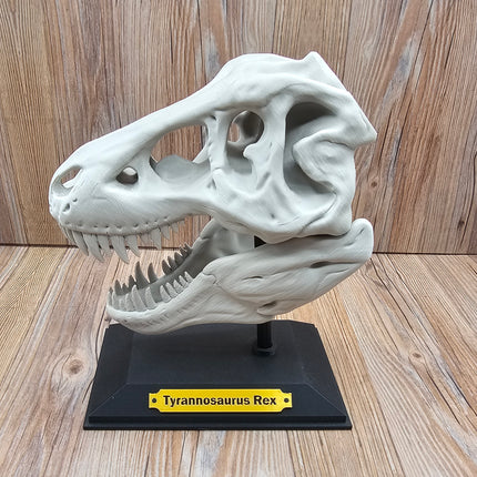 T-Rex Skull, 3D Printed