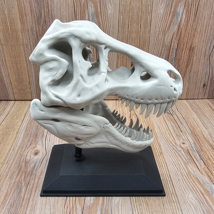 T-Rex Skull, 3D Printed