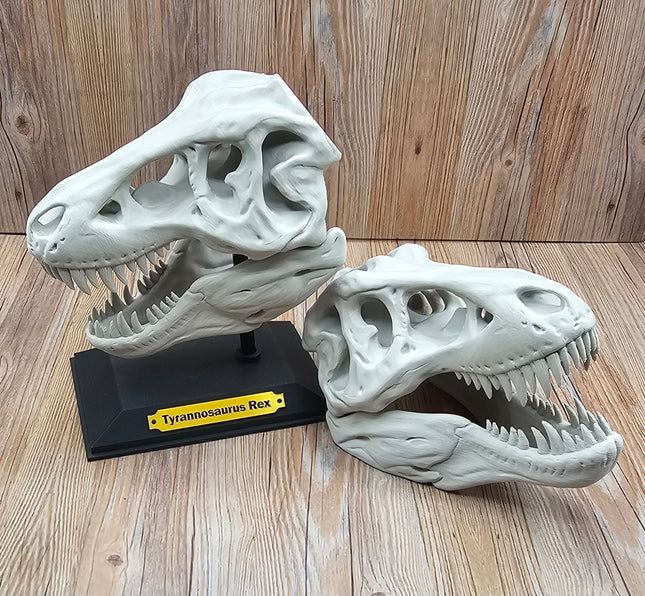 T-Rex Skull, 3D Printed