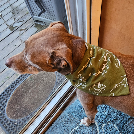 Reversible, Over The Collar, Pet Bandana - Dinosaurs (Glow In The Dark)