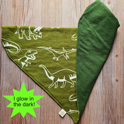 Reversible, Over The Collar, Pet Bandana - Dinosaurs (Glow In The Dark)