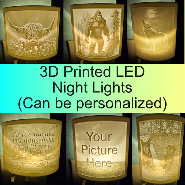 3D Printed LED Night Light (Can be personalized)