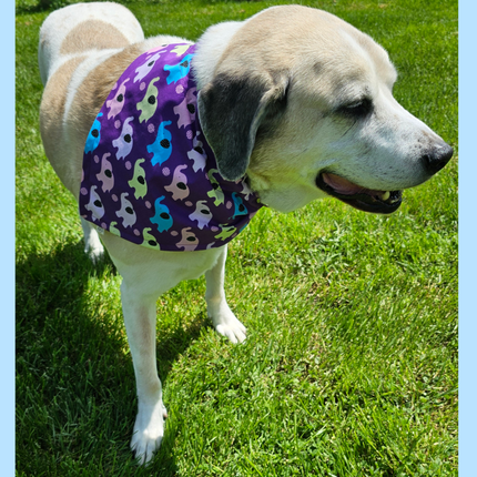 Reversible, Over The Collar, Pet Bandana - Elephants